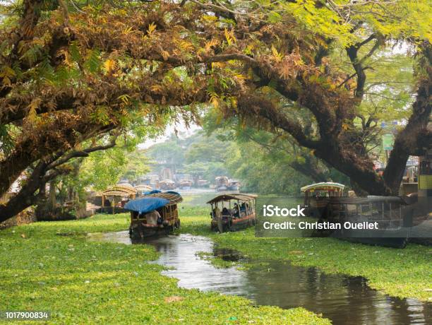 Houseboats On The Backwaters Of Kerala In Alappuzha Stock Photo - Download Image Now