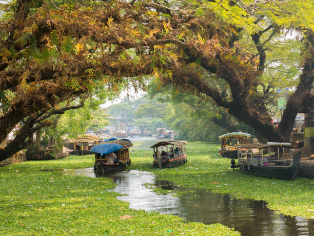 houseboats on the backwaters of kerala in alappuzha (alleppey) - kerala imagens e fotografias de stock