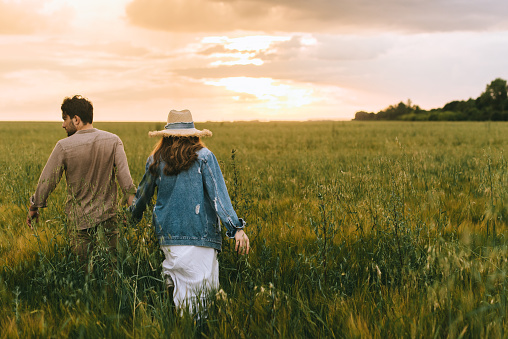 back view of couple holding hands and walking on green meadow at sunset