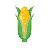 istock Corn Flat Design Vegetable Icon 1017914968