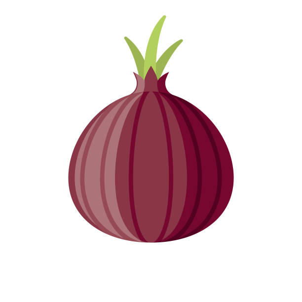 ilustraciones, imágenes clip art, dibujos animados e iconos de stock de cebolla roja diseño plano vegetal icono - onion