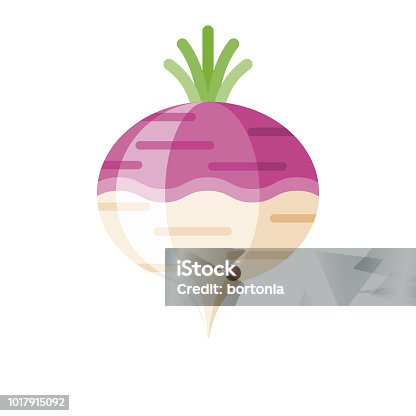 istock Turnip Flat Design Vegetable Icon 1017915092
