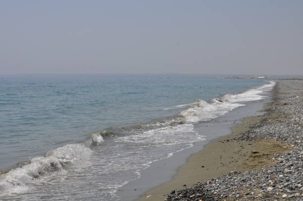 istock The beautiful Lady's Mile in Cyprus (Limassol) 1017920028