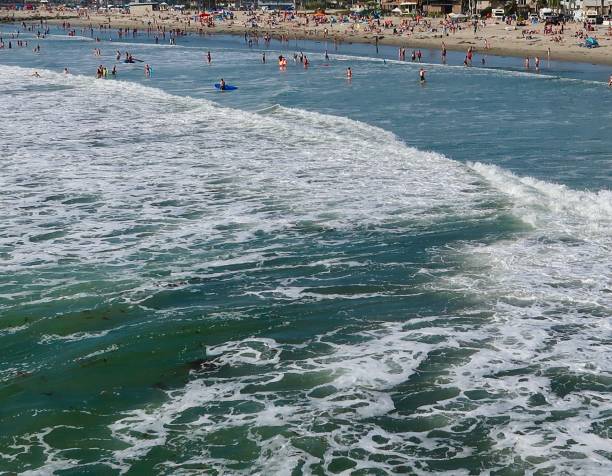 istock Ocean Beach, San Diego, California 1017927310