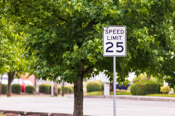 km/h schild mit einem baum und beton straße - geschwindigkeitsbegrenzung stock-fotos und bilder