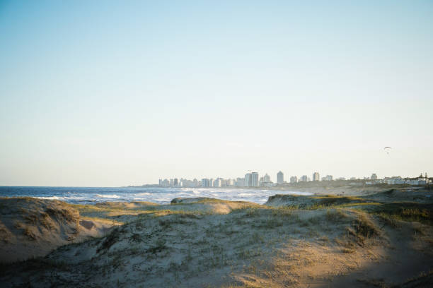 Sand dunes and sea during sunset punta del este Sunset at the beachin Punta del este, Uruguay playas del este stock pictures, royalty-free photos & images