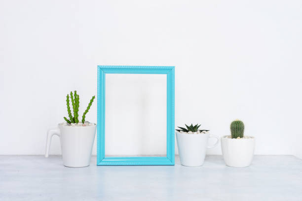istock Collection of various cactus and succulent plants in different pots. 1017946030