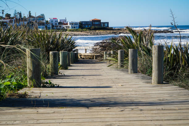 istock Wood footpath to the beach 1017946468