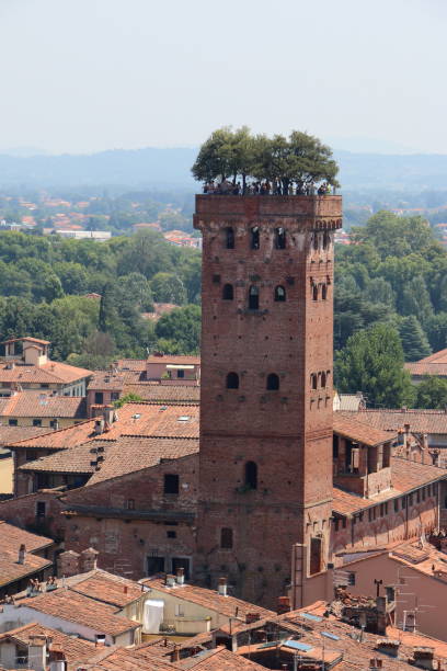 istock Florence city Italy in summer 1017953508