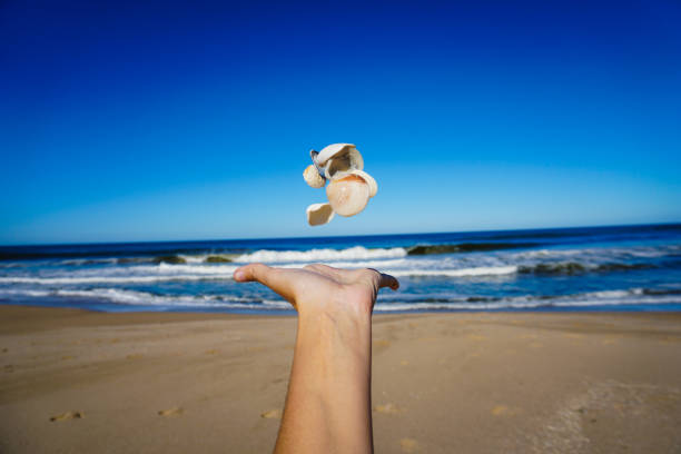 Shell Throwing 700+ Throwing Water In Air Stock Photos, Pictures & Royalty-Free Images ...