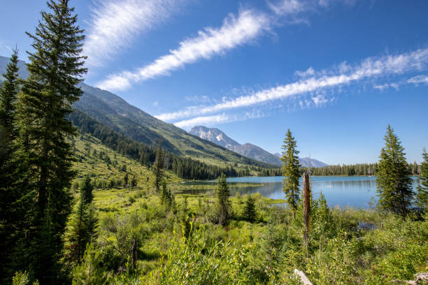 istock Wooded lake view with blue skies and white clouds 1017969058