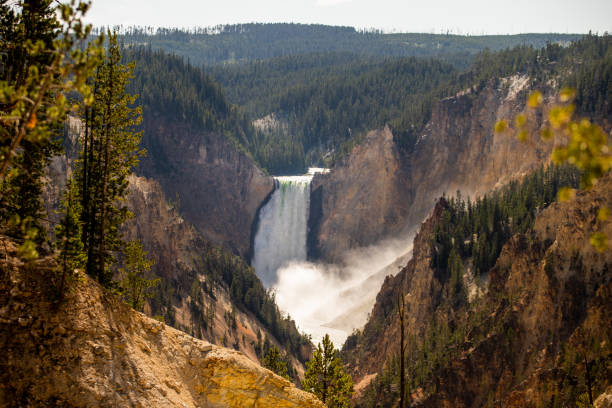 Waterfall, river and stone at the Grand Canyon of Yellowstone