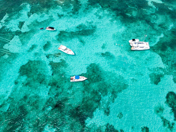 istock Women's Island aerial view 1017973662