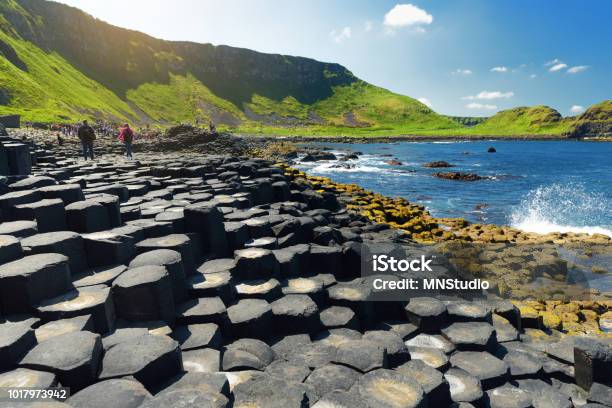 Photo libre de droit de Chaussée Des Géants Une Superficie De Pierres De Basalte Hexagonal Créé Par Léruption De Fissures Volcaniques Anciennes Comté Dantrim Irlande Du Nord banque d'images et plus d'images libres de droit de Chaussée des Géants