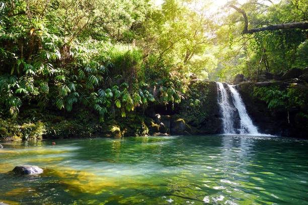 istock Tropical waterfall Lower Waikamoi Falls and a small crystal clear pond, inside of a dense tropical rainforest, off the Road to Hana Highway, Maui, Hawaii 1017974108