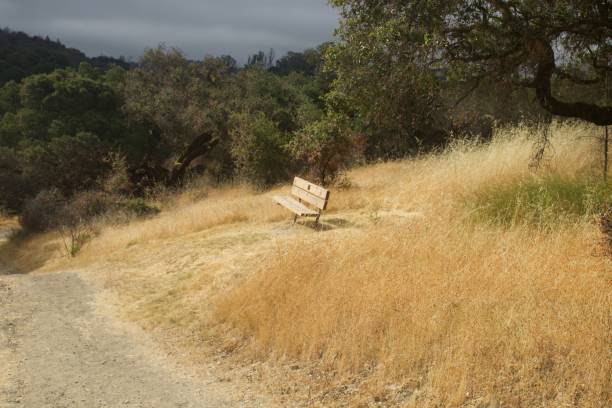 istock Shiloh Ranch Regional California. 1017976634