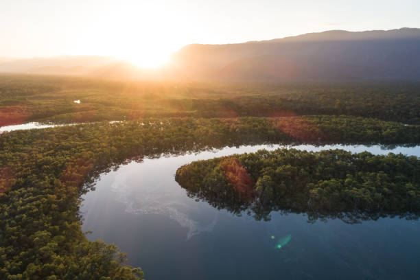 istock Mata Atlantica - Atlantic Forest in Brazil 1017986894