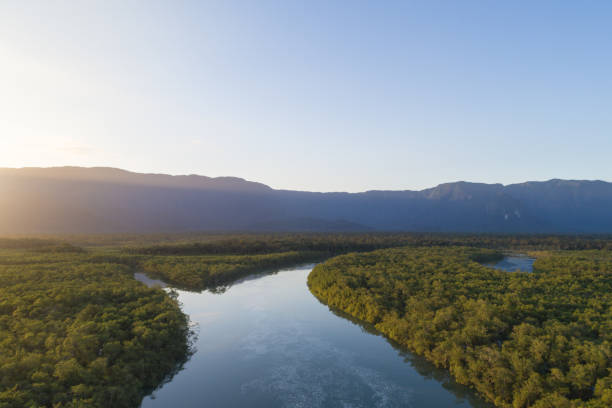 istock Mata Atlantica - Atlantic Forest in Brazil 1017986898