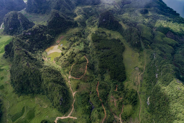 istock Aerial view of Karst mountains and rice fields 1017994360