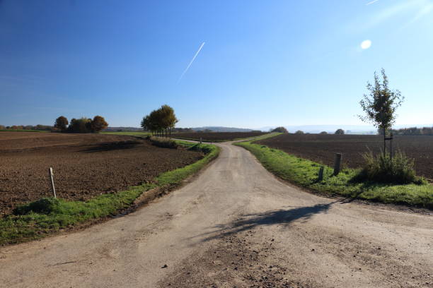istock country road splitting in two 1017997350