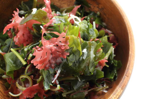 comida japonesa, secado de algas remojadas de ensalada - wakame salad fotografías e imágenes de stock