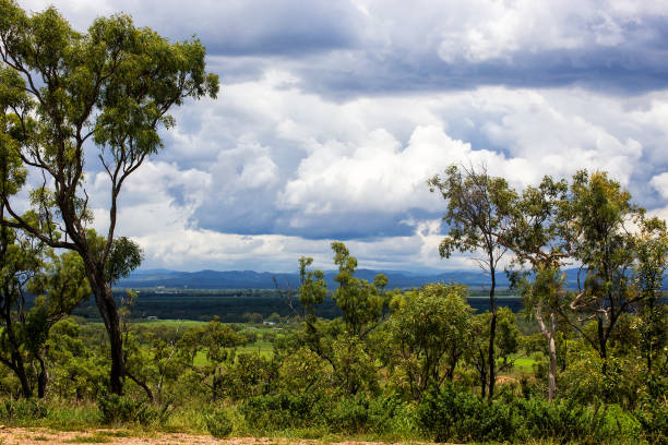 istock View through forest trees to cloud covered hills on the Atherton Tableland in Queensland, Australia 1018025246