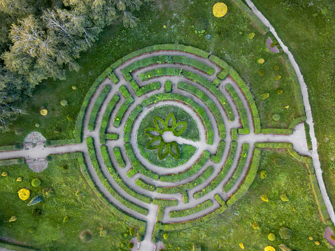 Birds eye view from the drone to a labyrinth in the Botanical garden in the summer day.