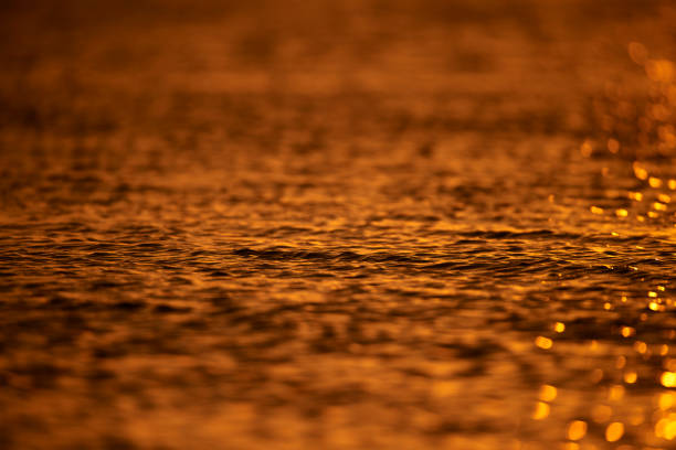 istock sea view in the sunset 1018047198