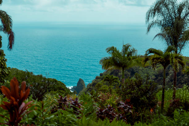 하나 보기도 - maui hana hawaii islands landscape 뉴스 사진 이미지