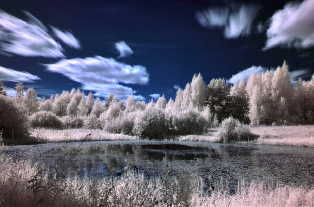 istock Infrared landscape. Pond in the forest 1018055722