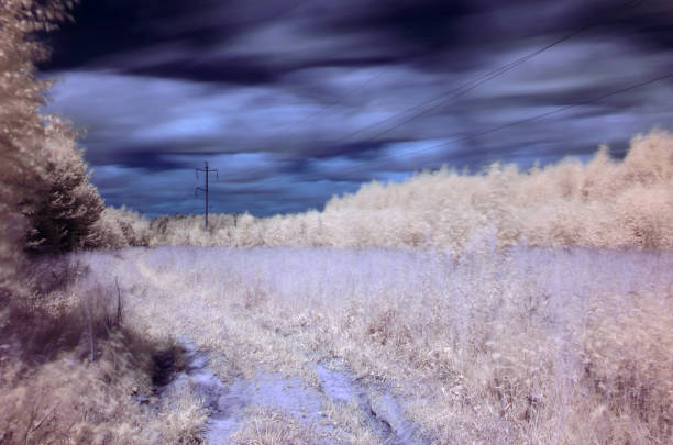 istock Infrared landscape. Road in the forest 1018055762