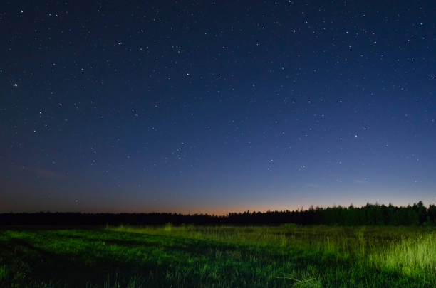 istock Star landscape. A night in the field 1018058648