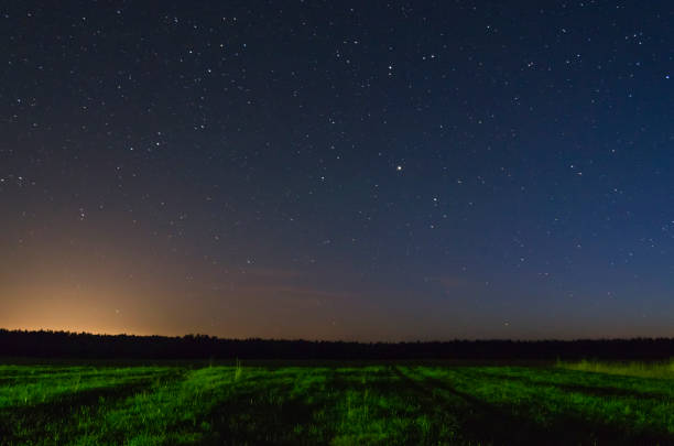 istock Star landscape. A night in the field 1018058672