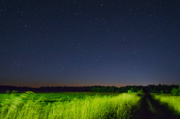 istock Star landscape. A night in the field 1018058750