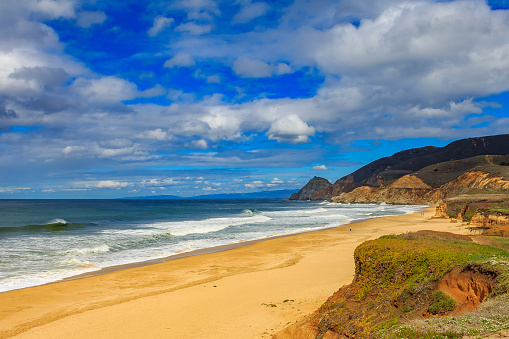 Rugged Northern Californa beach in Pacifica near San Francisco on a cloudy day with a beam of sunlight on the sand with spring flowers in the foreground