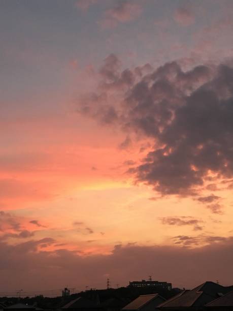 istock Summer sunset in city 1018059302