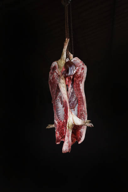 cuerpo puerco crudo sobre fondo negro - butcher butchers shop slaughterhouse hook fotografías e imágenes de stock