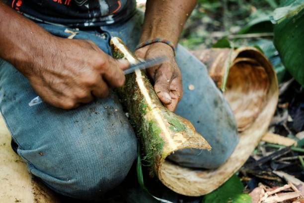 istock ticuna tribal member cleaning a tree bark for extracting the inner layer 1018064456