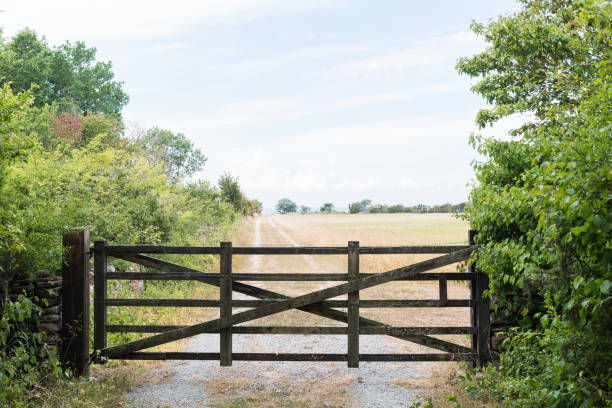 Old gate by a country road stock photo