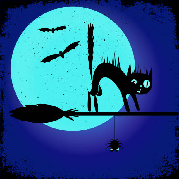 eine halloween party plakat mit einer schwarzen katze auf einem hexenbesen. editierbare banner design-vorlage. - frame grunge halloween backgrounds stock-grafiken, -clipart, -cartoons und -symbole