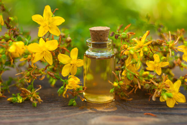 Essence of Hypericum flowers on table in beautiful glass Bottle stock photo