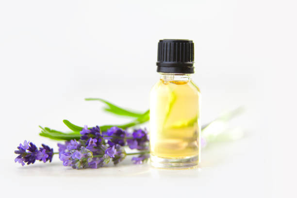 istock lavender essential oil in  beautiful bottle on White background 1018072770