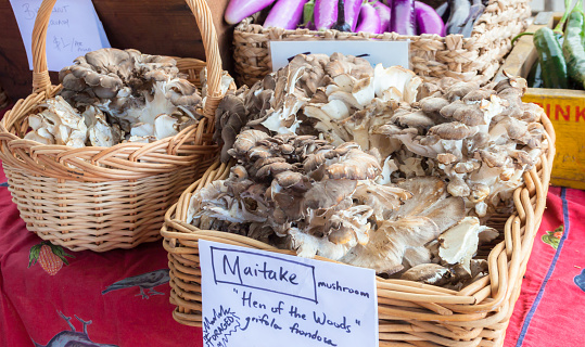 Maitake mushroom (grifola frondosa) sold at farmer’s market