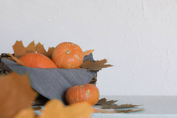 istock Autumn pumpkins on white table, thanksgiving day background 1018088302