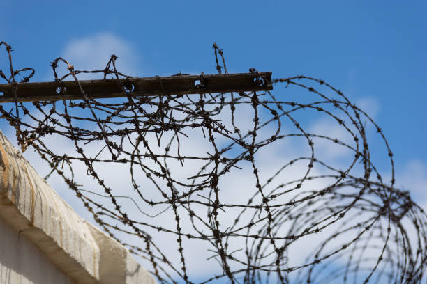 istock Rusted barb wire on a wall at an old prison 1018091830