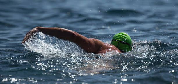 istock Man swimmer swimming crawl in blue sea 1018092860