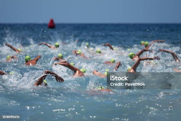 Triathlonschwimmer Im Offenen Meer Stockfoto und mehr Bilder von Triathlon - Triathlon, Schwimmen, Startlinie