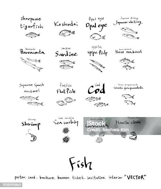 Food Menu Illustrations Stock Illustration - Download Image Now - Seafood, Catfish, Sketch