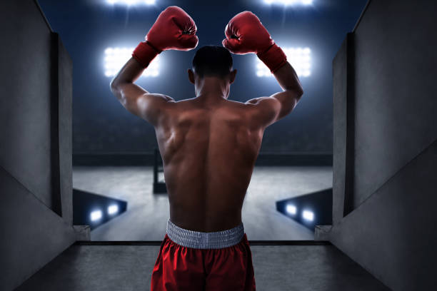 Professional boxer