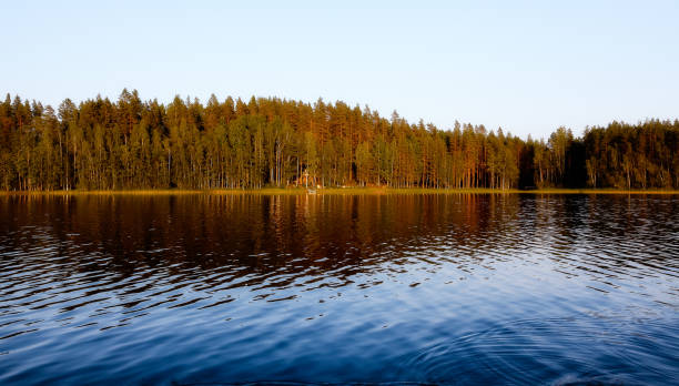 istock Summer landscape - lake shore in sunny evening 1018098728